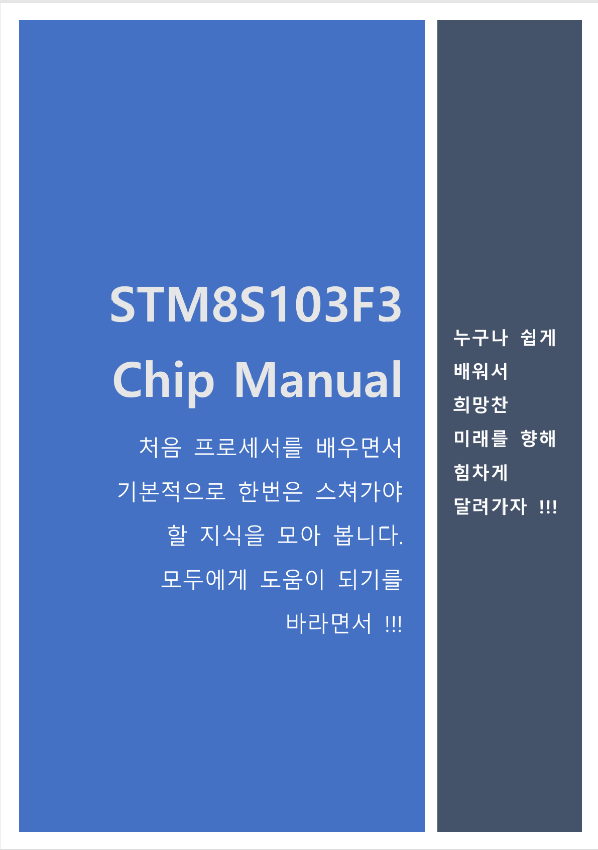 Chip Manual